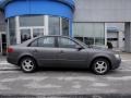Willow Gray - Sonata GLS Photo No. 2