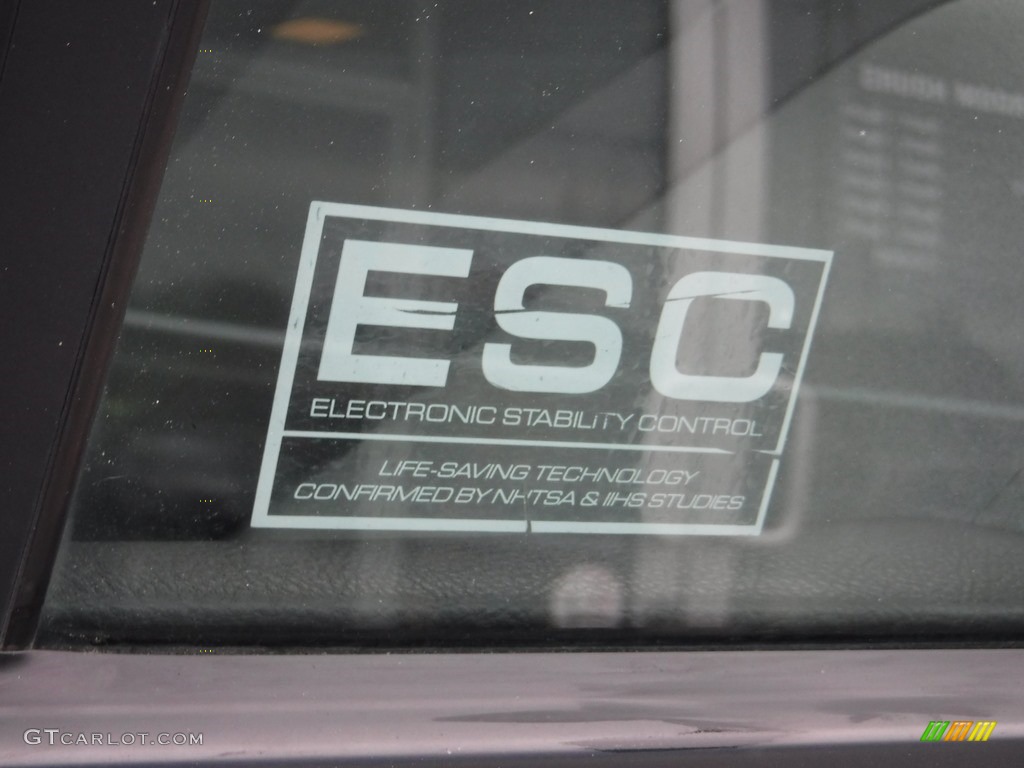 2009 Sonata GLS - Willow Gray / Gray photo #6