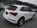 Ibis White - Q5 2.0 TFSI Premium Plus quattro Photo No. 10