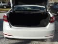 Quartz White Pearl - Sonata SE Photo No. 20