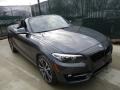 Mineral Grey Metallic - 2 Series 230i xDrive Convertible Photo No. 5