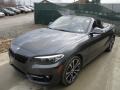 Mineral Grey Metallic - 2 Series 230i xDrive Convertible Photo No. 7