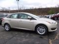 White Gold - Focus SE Sedan Photo No. 1