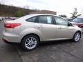 White Gold - Focus SE Sedan Photo No. 2