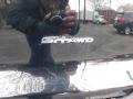 Crystal Black Pearl - MDX Technology Photo No. 7