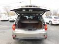 2008 Platinum Bronze Metallic BMW X5 3.0si  photo #31