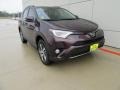 2017 Black Current Metallic Toyota RAV4 XLE  photo #2