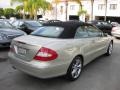 designo Silver Metallic - CLK 350 Cabriolet Photo No. 3