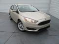 GN - White Gold Ford Focus (2017)
