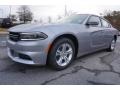 Billet Metallic - Charger SE Photo No. 1