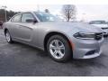 Billet Metallic - Charger SE Photo No. 4