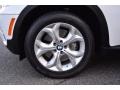 Alpine White - X5 xDrive 50i Photo No. 33