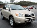 2008 Savannah Metallic Toyota RAV4 Limited  photo #7