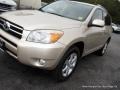 2008 Savannah Metallic Toyota RAV4 Limited  photo #25