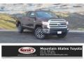 2017 Sunset Bronze Mica Toyota Tundra SR5 Double Cab 4x4  photo #1