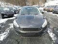 Magnetic - Focus SE Sedan Photo No. 3