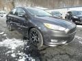 Magnetic - Focus SE Sedan Photo No. 4