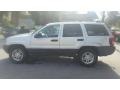 Bright Silver Metallic - Grand Cherokee Laredo Photo No. 6