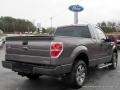 Sterling Grey - F150 XLT Regular Cab Photo No. 5