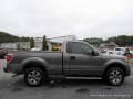 2014 Sterling Grey Ford F150 XLT Regular Cab  photo #6