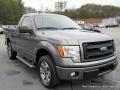 Sterling Grey - F150 XLT Regular Cab Photo No. 7