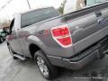 Sterling Grey - F150 XLT Regular Cab Photo No. 29