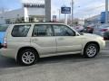 Champagne Gold Opal - Forester 2.5 X Premium Photo No. 7