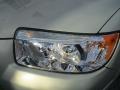 Champagne Gold Opal - Forester 2.5 X Premium Photo No. 28
