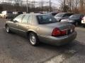 Arizona Beige Metallic - Grand Marquis LS Photo No. 4