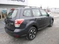 2017 Dark Gray Metallic Subaru Forester 2.5i  photo #6