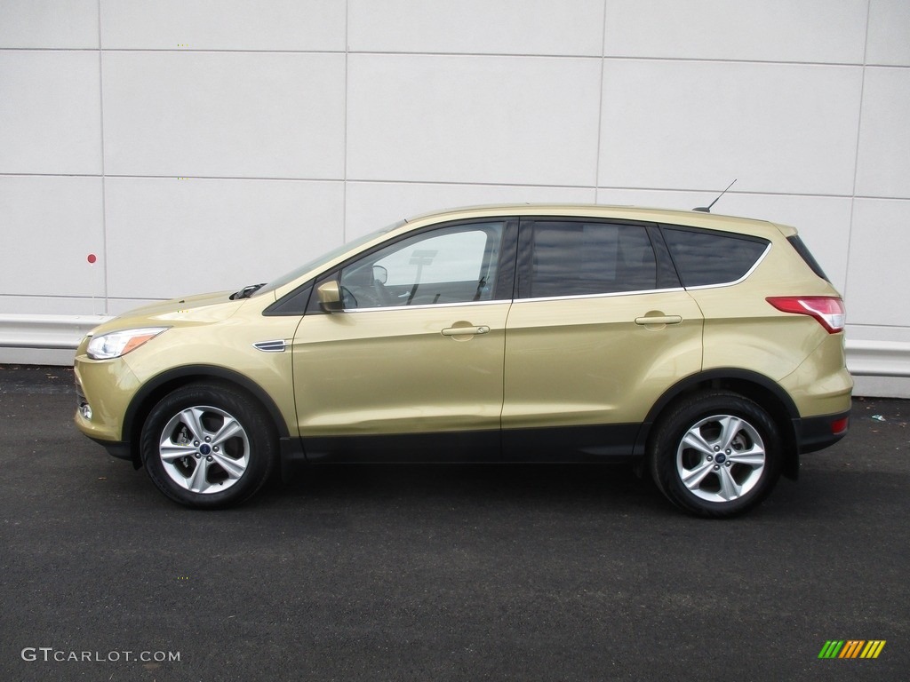 2014 Escape SE 1.6L EcoBoost - Ginger Ale / Medium Light Stone photo #2