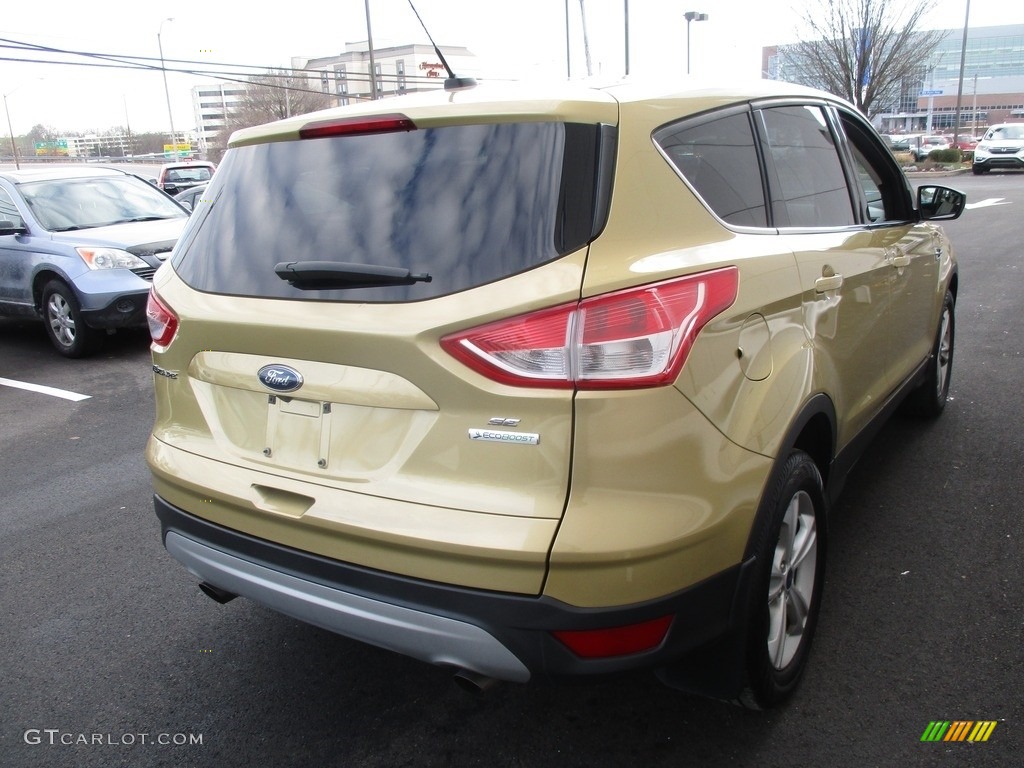 2014 Escape SE 1.6L EcoBoost - Ginger Ale / Medium Light Stone photo #6