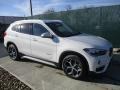 Alpine White - X1 xDrive28i Photo No. 1