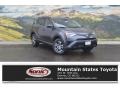 Magnetic Gray Metallic - RAV4 LE Photo No. 1