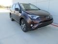 Black Current Metallic 2017 Toyota RAV4 XLE Exterior