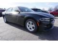 Pitch-Black - Charger SE Photo No. 4