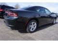 Pitch-Black - Charger SE Photo No. 3
