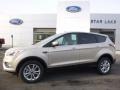 2017 White Gold Ford Escape SE 4WD  photo #1