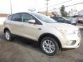 2017 White Gold Ford Escape SE 4WD  photo #3