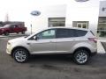 2017 White Gold Ford Escape SE 4WD  photo #9