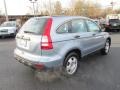 2009 Glacier Blue Metallic Honda CR-V LX 4WD  photo #6