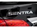 Super Black - Sentra SR Photo No. 7