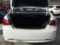 Shimmering White - Sonata GLS Photo No. 21