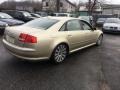 Platinum Beige Pearl Effect - A8 L 4.2 quattro Photo No. 6