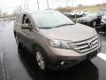 2014 Urban Titanium Metallic Honda CR-V EX-L AWD  photo #7