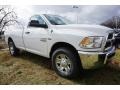 Bright White - 2500 Tradesman Regular Cab Photo No. 4