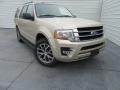 2017 White Gold Ford Expedition XLT  photo #2