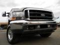 2004 Arizona Beige Metallic Ford F250 Super Duty Lariat Crew Cab 4x4  photo #1