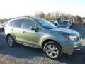 2017 Jasmine Green Metallic Subaru Forester 2.5i Touring  photo #1