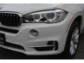 Alpine White - X5 xDrive35i Photo No. 32